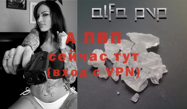эйфоретик Карпинск