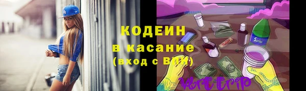 эйфоретик Карпинск