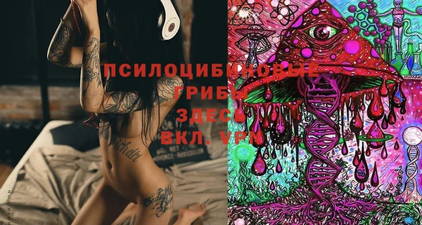 прущая мука Касимов