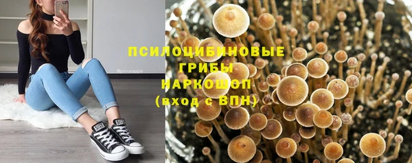 бутират Карталы