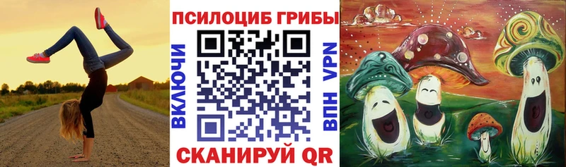 Купить Весьегонск Псилоцибиновые грибы Cubensis